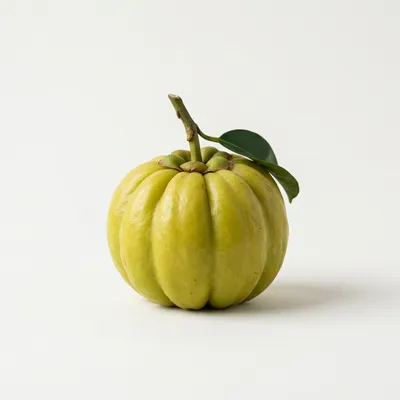 Garcinia cambogia (HCA)